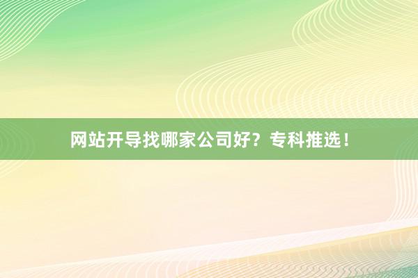 网站开导找哪家公司好?专科推选!